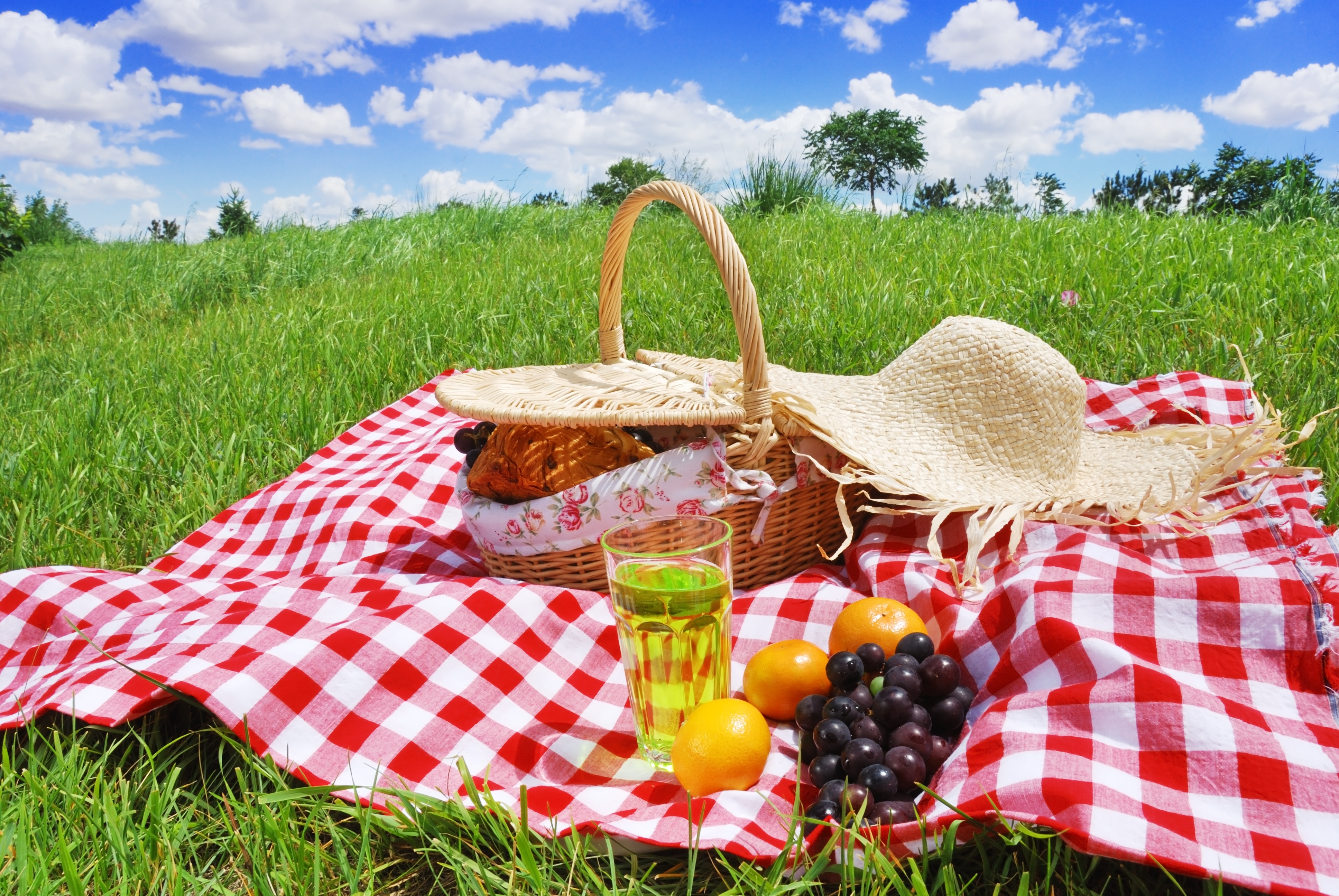 Eesti Kodu invitation to picnic, June 4 in Dyrehaven